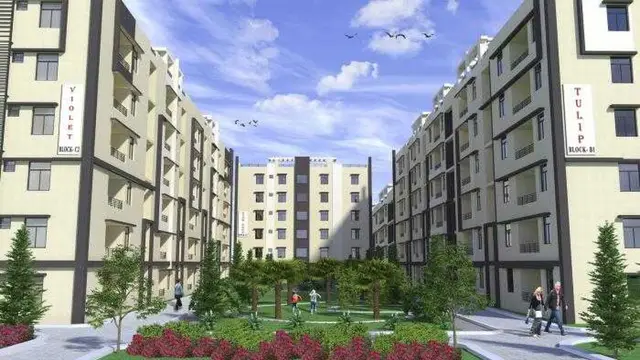 Empire Meadows