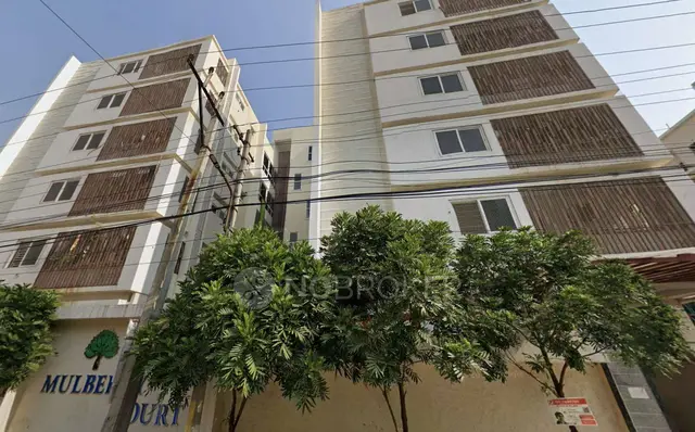 SG MULBERRY COURT