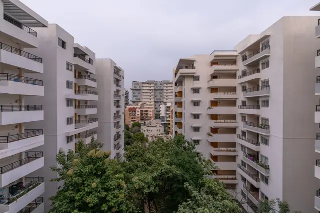 Manbhum Around the Grove
