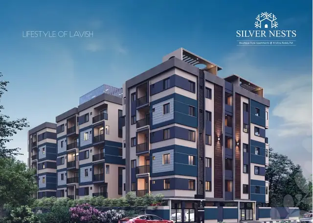 SILVER NESTS
